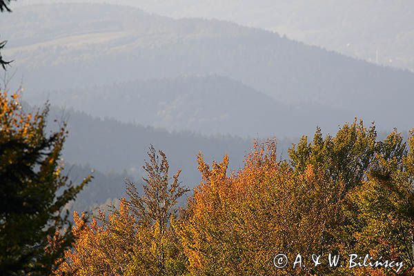Widok na pasmo żuków z Jaworników, Bieszczady
