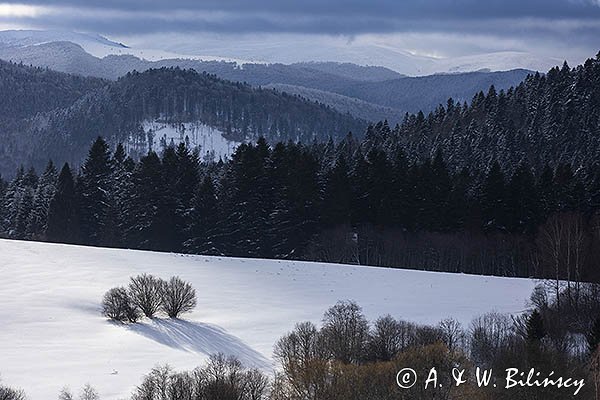 Widok na góry i połoniny z Lutowisk, Bieszczady