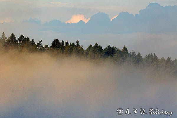 Las we mgle, Bieszczady