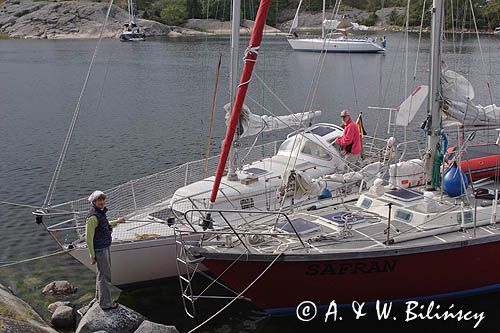 Safran i Epoka w zatoczce przy wyspie Biskopson, Szkiery Szwedzkie, Archipelag Sztokholmski, Szwecja