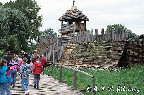 Biskupin Muzeum archeologiczne - skansen