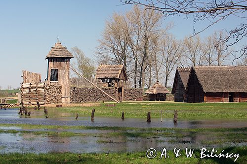 Biskupin muzeum archeologiczne gród