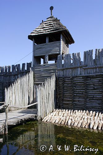 Biskupin muzeum archeologiczne gród