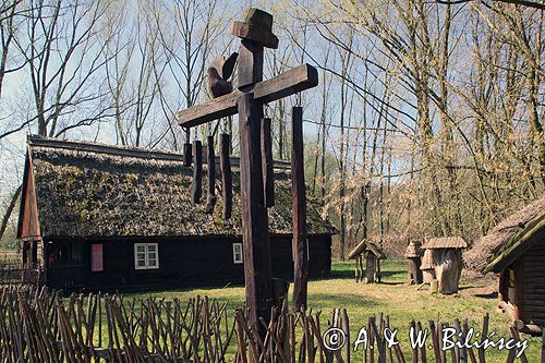 Biskupin muzeum archeologiczne gród