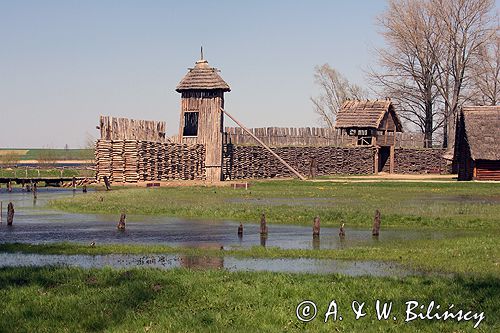 Biskupin muzeum archeologiczne gród