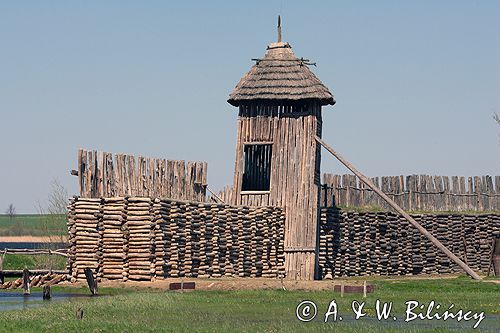 Biskupin muzeum archeologiczne gród