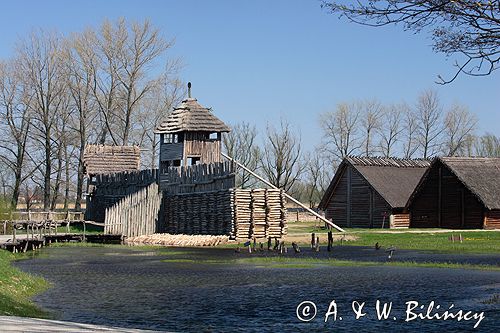 Biskupin muzeum archeologiczne gród