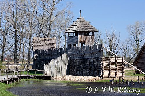 Biskupin muzeum archeologiczne gród