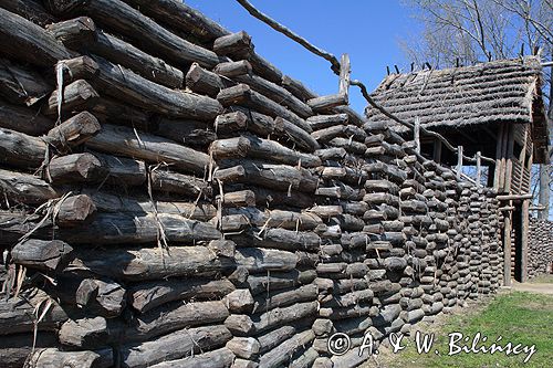 Biskupin muzeum archeologiczne gród