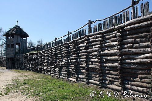 Biskupin muzeum archeologiczne gród