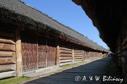 Biskupin muzeum archeologiczne gród