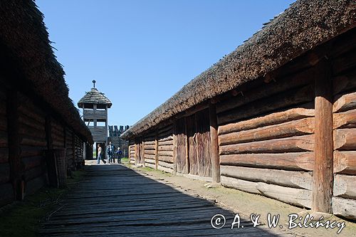 Biskupin muzeum archeologiczne gród