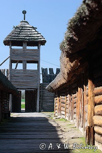 Biskupin muzeum archeologiczne gród