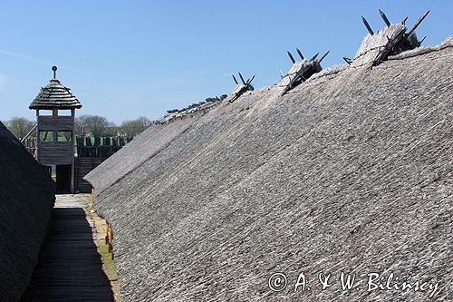 Biskupin muzeum archeologiczne gród