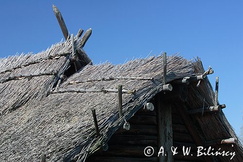 Biskupin muzeum archeologiczne gród