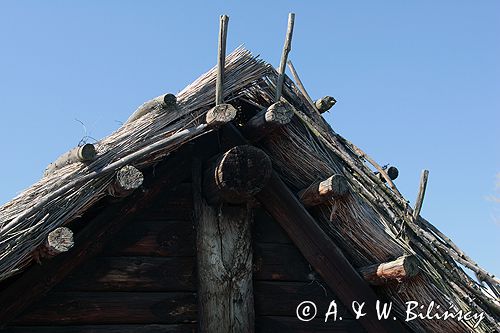 Biskupin muzeum archeologiczne gród