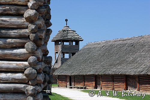 Biskupin muzeum archeologiczne gród