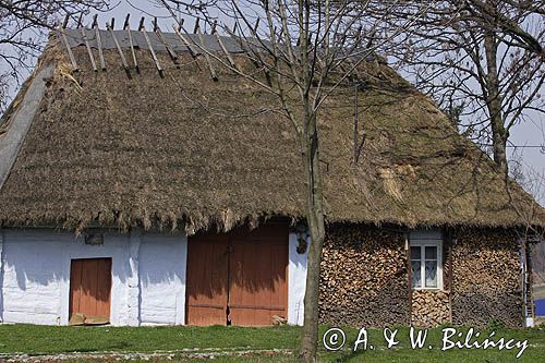 Blizne, zabytkowa chata, Pogórze Dynowskie