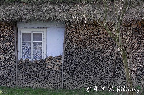 Blizne, zabytkowa chata, Pogórze Dynowskie