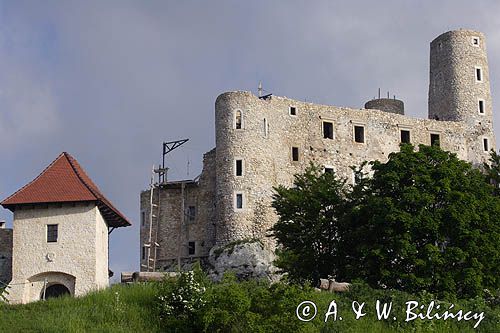 Bobolice, ruiny zamku, Jura Krakowsko- Częstochowska