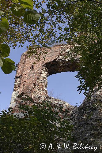 ruiny średniowiecznego zamku rycerskiego, zwanego też zamkiem Esterki, Bochotnica / koło Kazimierza Dolnego/, Kazimierski Park Krajobrazowy