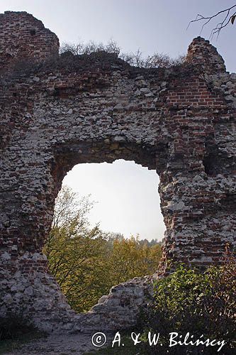 ruiny średniowiecznego zamku rycerskiego, zwanego też zamkiem Esterki, Bochotnica / koło Kazimierza Dolnego/, Kazimierski Park Krajobrazowy