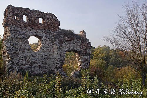 ruiny średniowiecznego zamku rycerskiego, zwanego też zamkiem Esterki, Bochotnica / koło Kazimierza Dolnego/, Kazimierski Park Krajobrazowy