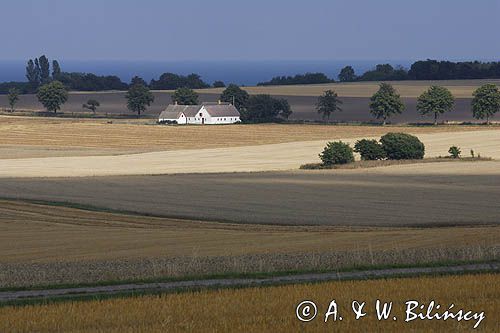 farma koło Svaneke na wyspie Bornholm, Dania