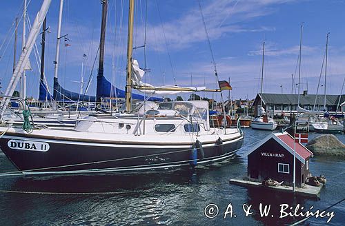 Bornholm Dania, port w Ronne, dom dla kaczek