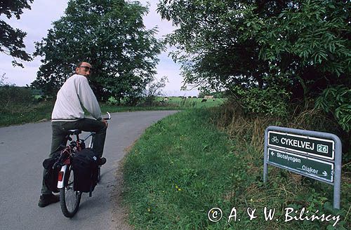 rowerzysta na szlaku rowerowym, wyspa Bornholm, Dania