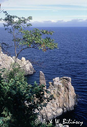 Wybrzeże klifowe, Helligdomsklipperne, Bornholm, Dania