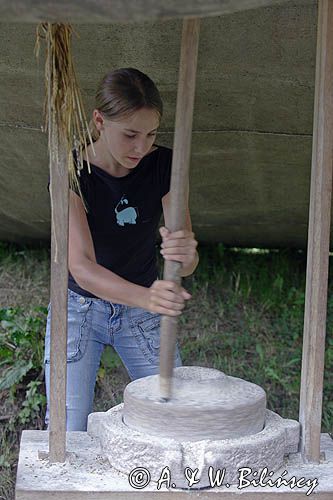 Bornholms Middelaldercenter, żarna w Centrum Średniowiecza, wyspa Bornholm, Dania