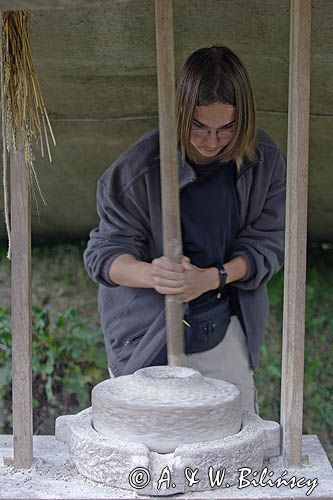 Bornholms Middelaldercenter, żarna w Centrum Średniowiecza, wyspa Bornholm, Dania