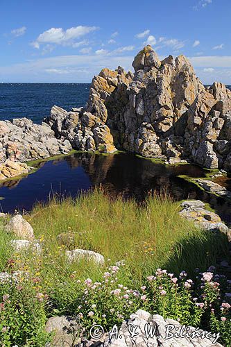 wybrzeże koło Gudhjem, Bornholm, Dania