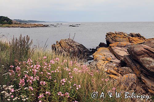 wybrzeże w Listed, Bornholm, Dania