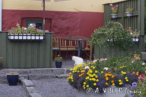 ogródek w Svaneke na wyspie Bornholm, Dania