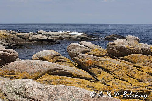 na wybrzeżu wyspy Bornholm w Svaneke