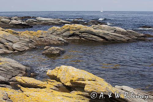 na wybrzeżu wyspy Bornholm w Svaneke