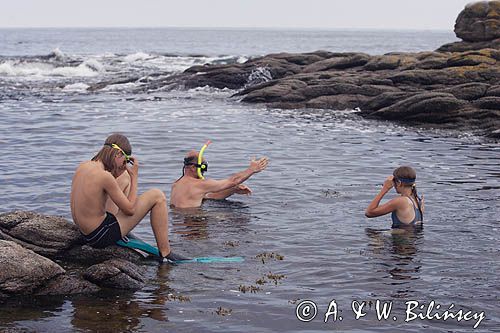 kąpiel na wybrzeżu wyspy Bornholm w Svaneke