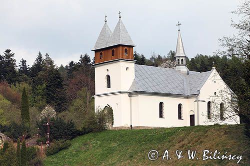 Borownica, Pogórze Przemyskie