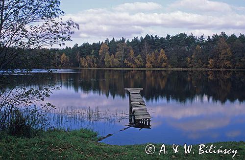 Bory Tucholskie, Zaborski Park Krajobrazowy