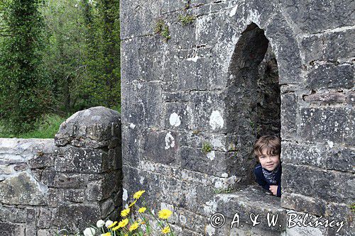 Kamienna brama do miasta Boyle, fragment murów obronnych, rejon Górnej Shannon, Irlandia