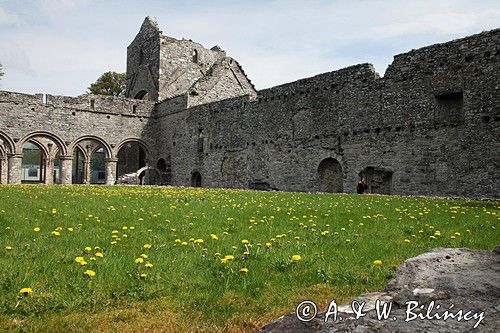 Opactwo Boyle, klasztor cysterski, rejon Górnej Shannon, Irlandia