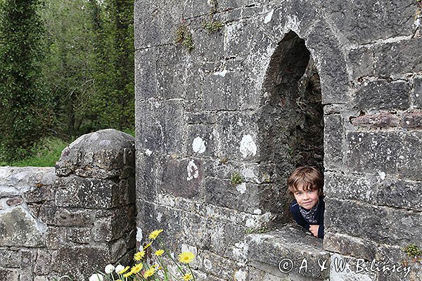 Kamienna brama do miasta Boyle, fragment murów obronnych, rejon Górnej Shannon, Irlandia