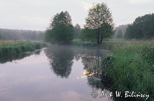 Rzeka Brda, Kaszuby