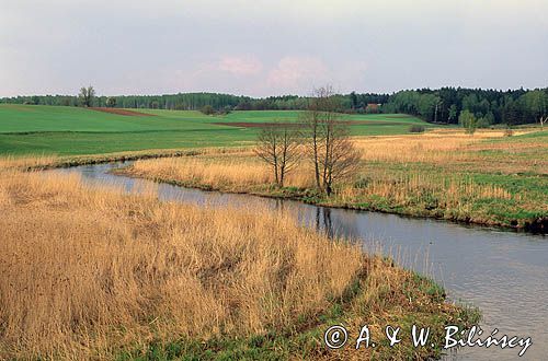 rzeka Brda, Kaszuby