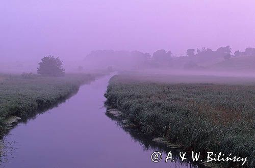 rzeka Brda, Kaszuby