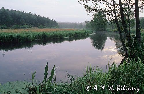 Rzeka Brda, Kaszuby