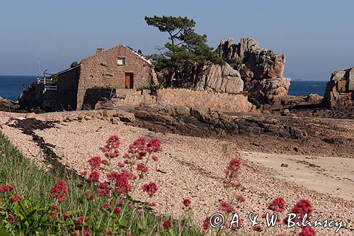 plaża, wyspa Brehat, Ille de Brehat, Bretania, Francja