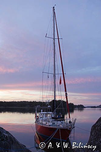 Safran po zachodzie słońca w Bruksviken koło Nynashamn, Szkiery Szwedzkie, Archipelag Sztokholmski, Szwecja